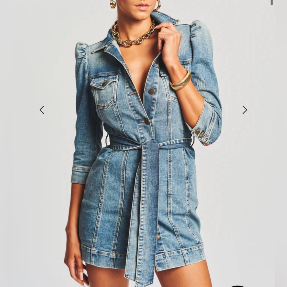 Retrofete Blue Denim Dress